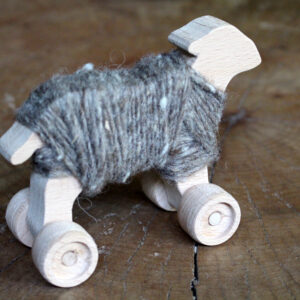 Woody the lamb